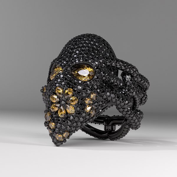 01首图 The Skull of Power.